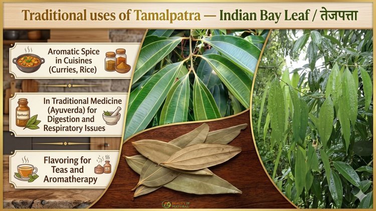 Common Plants & Their Traditional Uses: Tulsi, Aloe Vera, Ashwagandha, Pippali & Tamalpatra