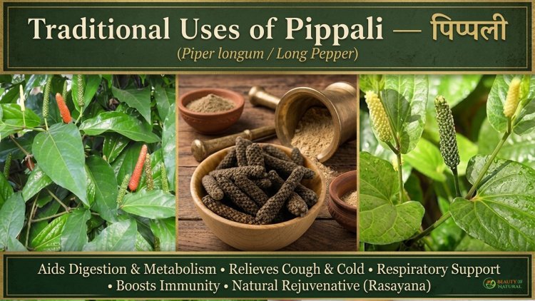 Common Plants & Their Traditional Uses: Tulsi, Aloe Vera, Ashwagandha, Pippali & Tamalpatra